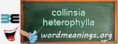 WordMeaning blackboard for collinsia heterophylla